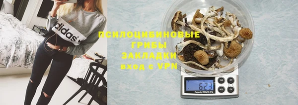 мдпв Бронницы