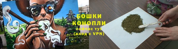 шишки Богданович