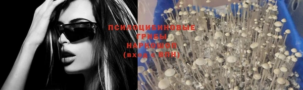 гидропоника Беломорск