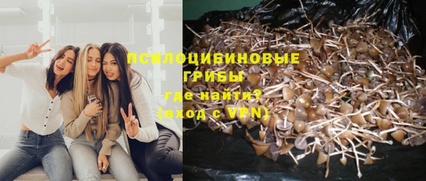 гидропоника Богородицк