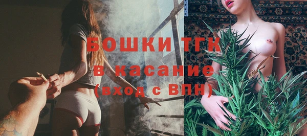 шишки Богданович