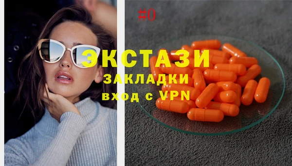 крисы Бородино